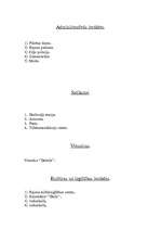 Referāts 'Dobeles pilsētas kultūras un sabiedrības raksturojums', 8.