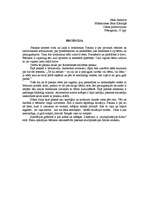 Eseja 'J.Ankravs "Desas piedzīvojumi"', 1.