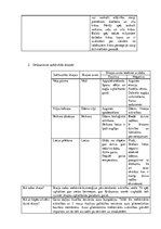 Paraugs 'Ieskaites darbs dabaszinībās. Maņu orgāni', 2.
