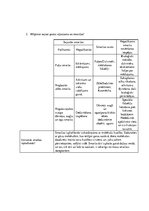 Paraugs 'Ieskaites darbs dabaszinībās. Maņu orgāni', 3.