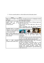 Paraugs 'Ieskaites darbs dabaszinībās. Maņu orgāni', 4.