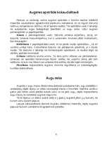 Referāts 'Priežu audzēšana', 4.