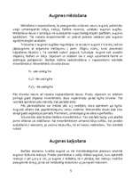 Referāts 'Priežu audzēšana', 5.