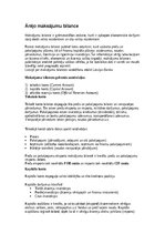 Konspekts 'Ārējo maksājumu bilance', 1.