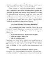 Referāts 'Īpašuma iegūšana ar piegūšanu', 17.