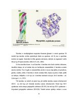 Referāts 'Keratīns', 6.