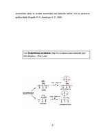 Referāts 'Keratīns', 9.