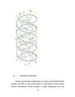 Referāts 'Keratīns', 14.