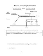 Referāts 'Keratīns', 19.