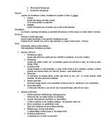 Konspekts 'Filosofija', 5.