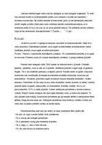 Referāts 'Polimēri (neilons u.c.)', 1.