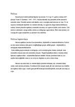 Referāts 'Polimēri (neilons u.c.)', 3.