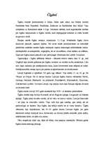 Referāts 'Minoritātes Latvijā Ulmaņa laikā - čigāni', 1.