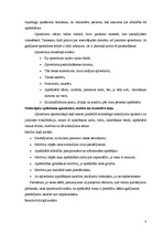 Referāts 'Kriminālprocess', 4.