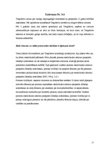 Referāts 'Kriminālprocess', 15.