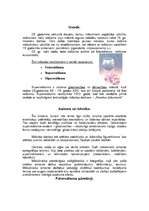 Referāts 'Fotoreālisms (superreālisms jeb hiperreālisms)', 2.