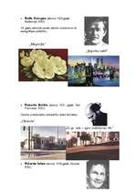 Referāts 'Fotoreālisms (superreālisms jeb hiperreālisms)', 3.