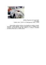 Referāts 'Fotoreālisms (superreālisms jeb hiperreālisms)', 5.