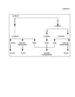 Referāts 'Tiesu psihiatrija', 9.