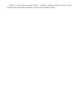 Konspekts 'Konstitucionālās tiesības', 586.