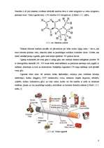Referāts 'Cigarešu un ūdenspīpes ietekme uz cilvēka organismu', 9.