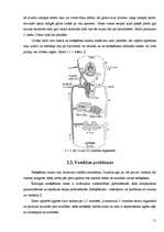 Referāts 'Cigarešu un ūdenspīpes ietekme uz cilvēka organismu', 11.