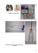 Referāts 'Cigarešu un ūdenspīpes ietekme uz cilvēka organismu', 32.