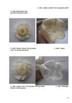 Referāts 'Cigarešu un ūdenspīpes ietekme uz cilvēka organismu', 34.