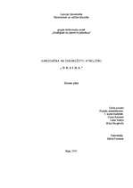 Biznesa plāns 'Biznesa plāns veģetārai kafejnīcai', 1.