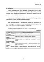 Biznesa plāns 'Biznesa plāns veģetārai kafejnīcai', 33.