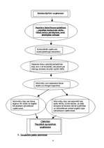 Referāts 'Situācijas analīze', 4.