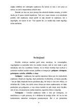 Referāts 'Situācijas analīze', 9.