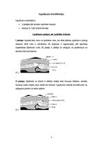 Referāts 'Izgulējumu profilakse un ārstēšana spinālajiem pacientiem', 8.