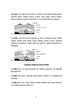 Referāts 'Izgulējumu profilakse un ārstēšana spinālajiem pacientiem', 9.