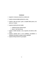 Referāts 'Izgulējumu profilakse un ārstēšana spinālajiem pacientiem', 17.