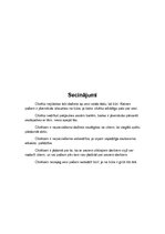 Konspekts 'Alberts Bels "Būris"', 13.