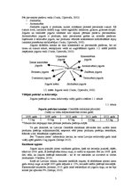 Referāts 'Jogurta ražošanas ārējo ekonomisko faktoru izvērtējums', 5.
