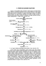 Referāts 'Jogurta ražošanas ārējo ekonomisko faktoru izvērtējums', 16.
