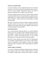 Eseja 'Cilvēktiesības, tendences Latvijā un pasaulē', 3.