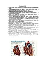 Konspekts 'Asinsrite. Sirds. Vielu transports', 4.