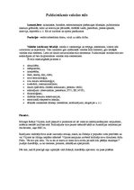 Konspekts 'Publicistiskais valodas stils', 1.