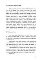 Referāts '"Limuzīns Jāņu nakts krāsā"', 5.