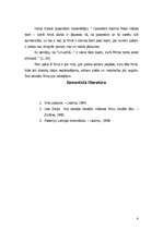 Referāts '"Limuzīns Jāņu nakts krāsā"', 6.