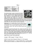 Konspekts 'Bors', 1.