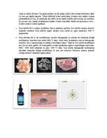 Konspekts 'Bors', 4.