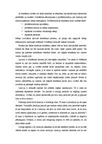 Referāts 'Izziņas procesu individuālas īpatnības', 3.