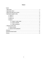 Referāts 'Apple mobilo tehnoloģiju popularitāte 21.gadsimtā', 2.