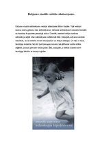 Referāts 'Amandas Aizpurietes dzejoļu krājuma "Ledusskapja šūpuļdziesma" raksturojums', 9.