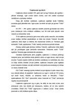 Referāts 'SIA "Triāls" - mārketinga pētījums', 9.