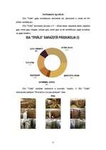 Referāts 'SIA "Triāls" - mārketinga pētījums', 11.